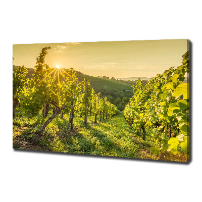 Tableau sur toile Vignobles