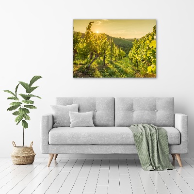 Tableau sur toile Vignobles