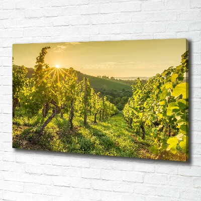 Tableau sur toile Vignobles