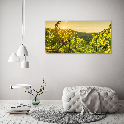 Tableau sur toile Vignobles