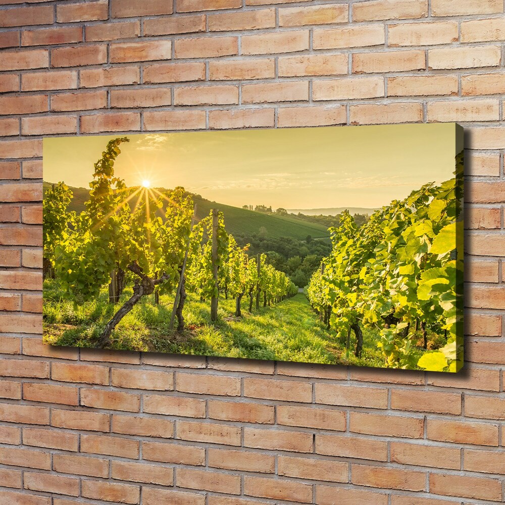 Tableau sur toile Vignobles