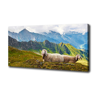 Tableau toile imprimée Mouton dans les Alpes