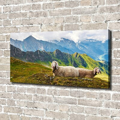 Tableau toile imprimée Mouton dans les Alpes