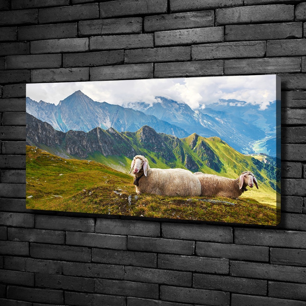 Tableau toile imprimée Mouton dans les Alpes