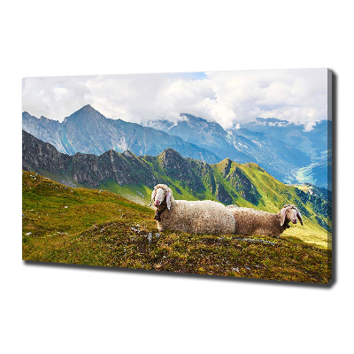 Tableau toile imprimée Mouton dans les Alpes