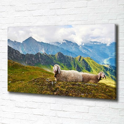 Tableau toile imprimée Mouton dans les Alpes