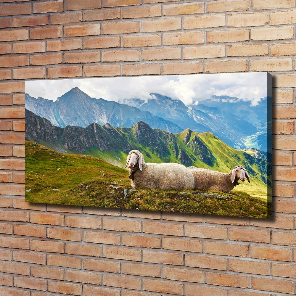 Tableau toile imprimée Mouton dans les Alpes