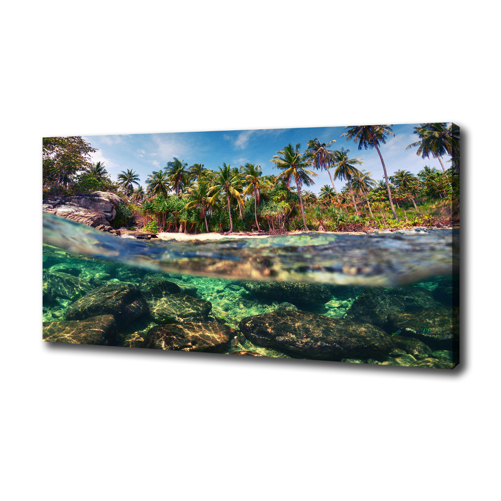 Tableau mural sur toile Plage tropicale eau claire