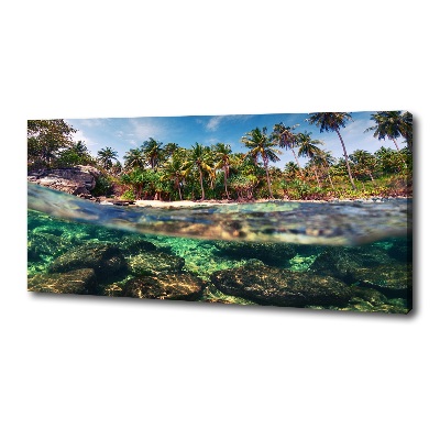 Tableau mural sur toile Plage tropicale eau claire