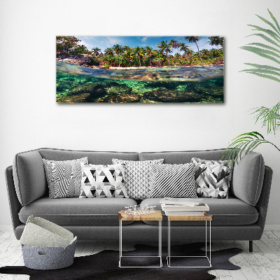 Tableau mural sur toile Plage tropicale eau claire