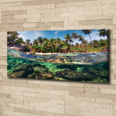 Tableau mural sur toile Plage tropicale eau claire