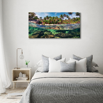 Tableau mural sur toile Plage tropicale eau claire