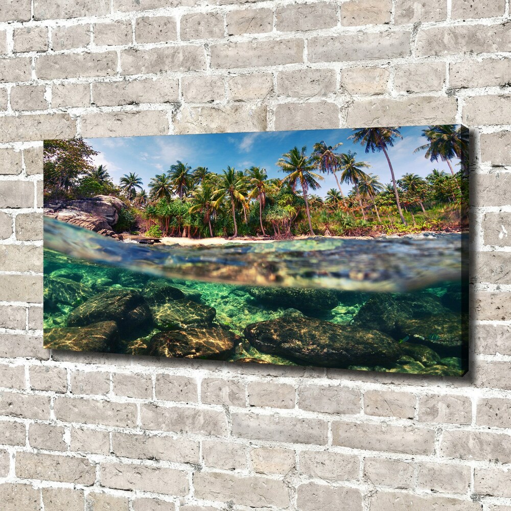 Tableau mural sur toile Plage tropicale eau claire