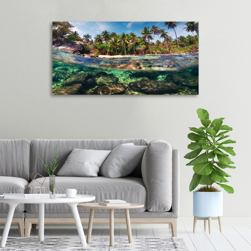 Tableau mural sur toile Plage tropicale eau claire