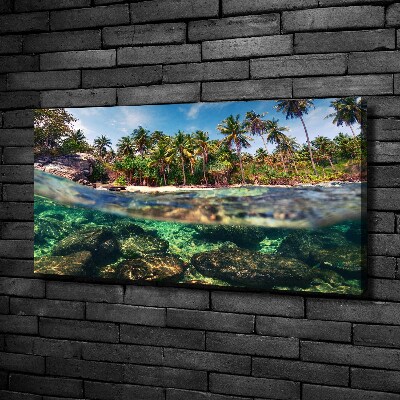 Tableau mural sur toile Plage tropicale eau claire