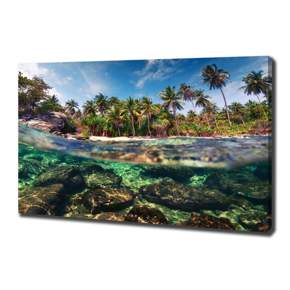 Tableau mural sur toile Plage tropicale eau claire