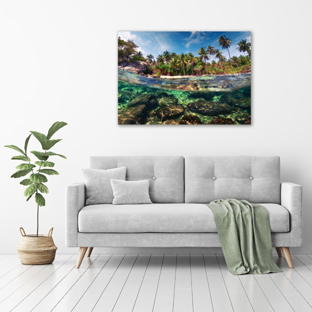 Tableau mural sur toile Plage tropicale eau claire