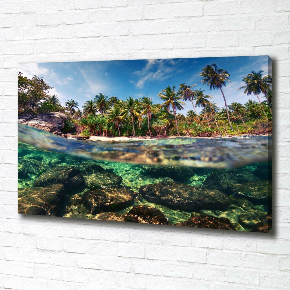 Tableau mural sur toile Plage tropicale eau claire