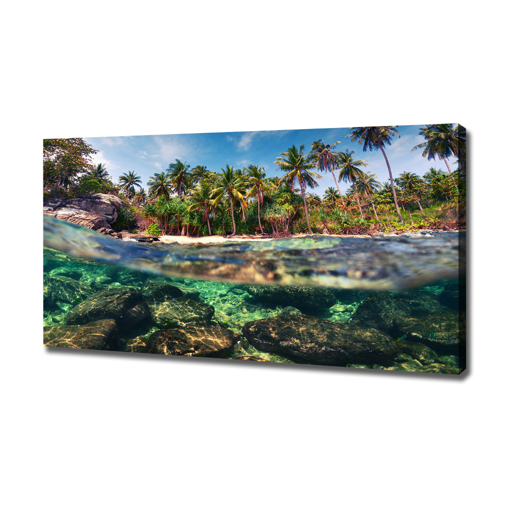 Tableau mural sur toile Plage tropicale eau claire