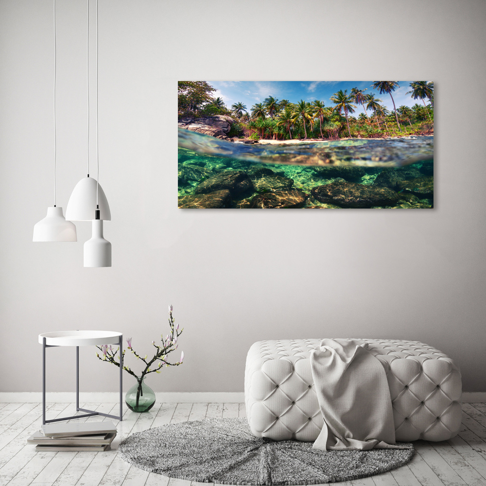 Tableau mural sur toile Plage tropicale eau claire