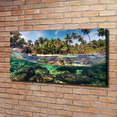 Tableau mural sur toile Plage tropicale eau claire