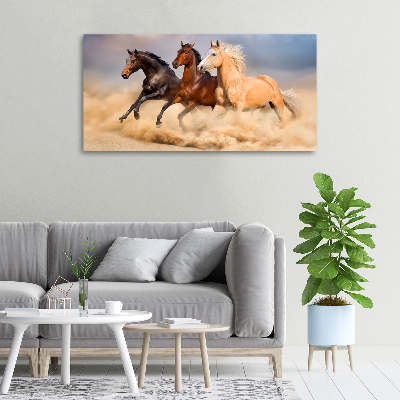 Tableau toile imprimée Chevaux de marche