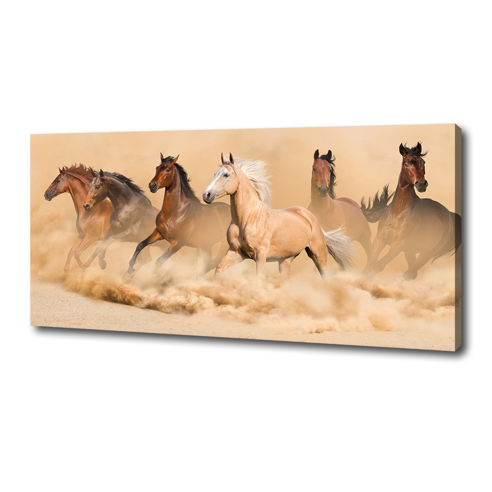 Tableau sur toile Chevaux dans le désert