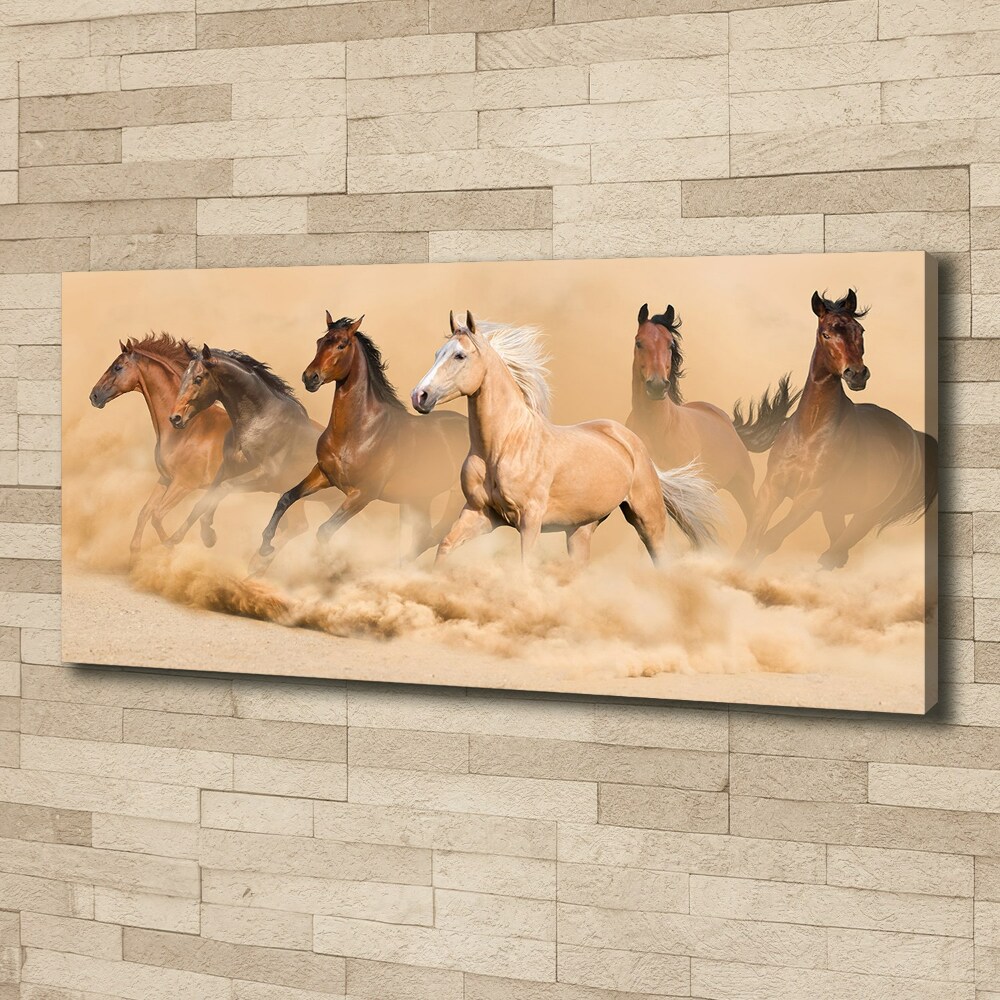 Tableau sur toile Chevaux dans le désert