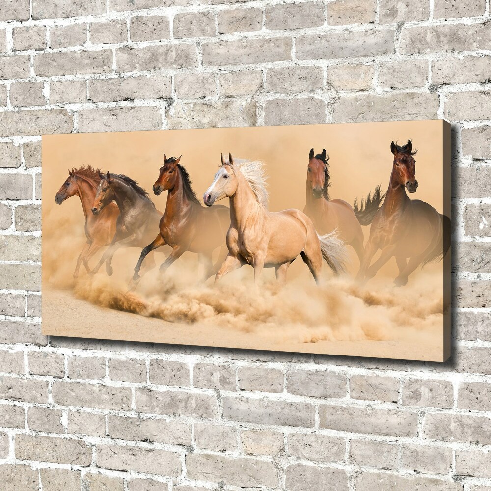 Tableau sur toile Chevaux dans le désert