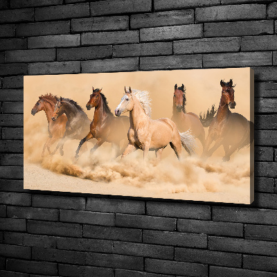 Tableau sur toile Chevaux dans le désert