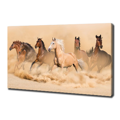 Tableau sur toile Chevaux dans le désert