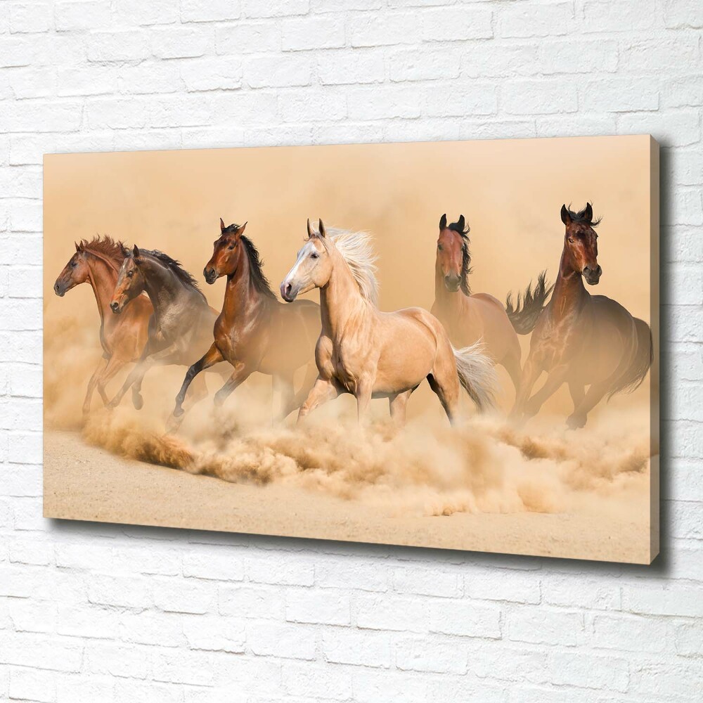 Tableau sur toile Chevaux dans le désert