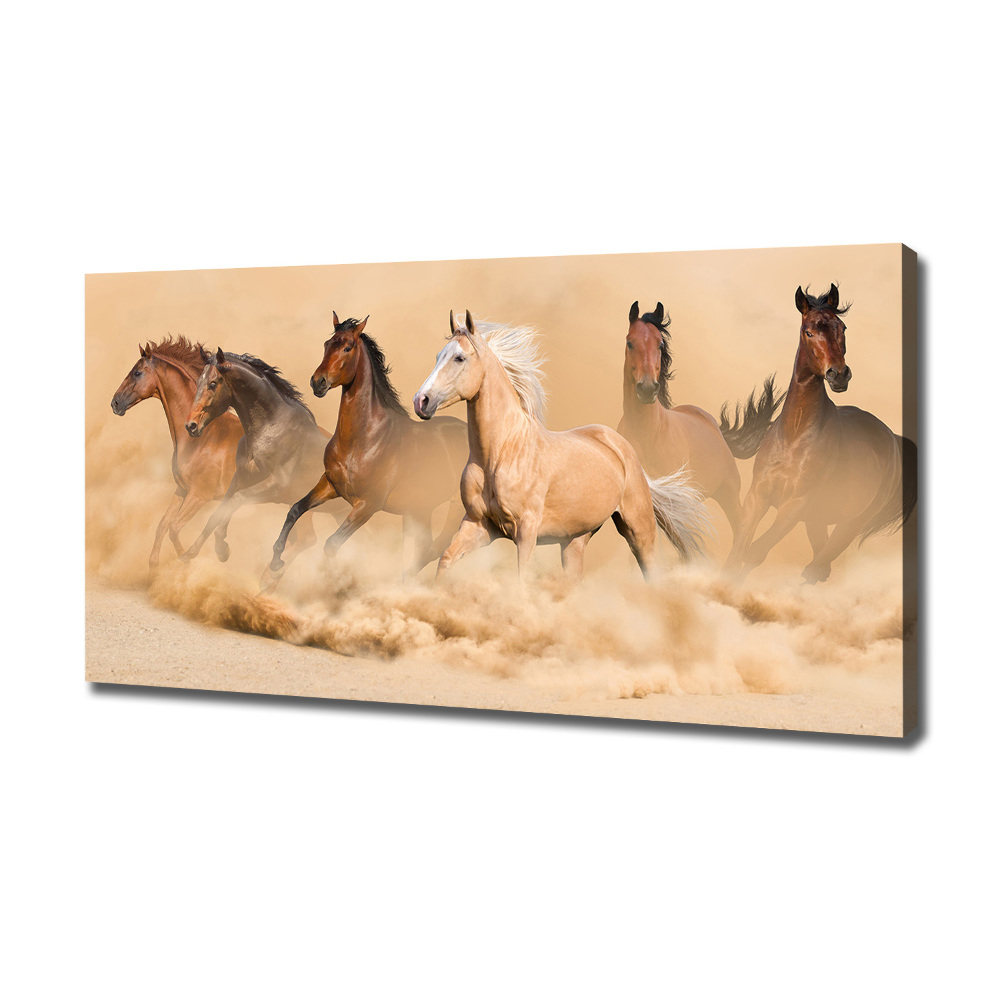 Tableau sur toile Chevaux dans le désert