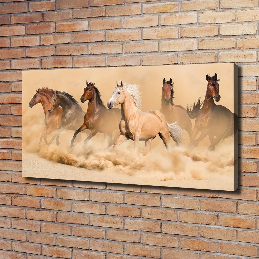 Tableau sur toile Chevaux dans le désert