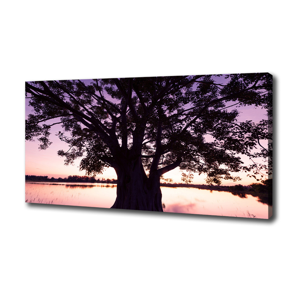 Tableau mural sur toile Arbre et lac