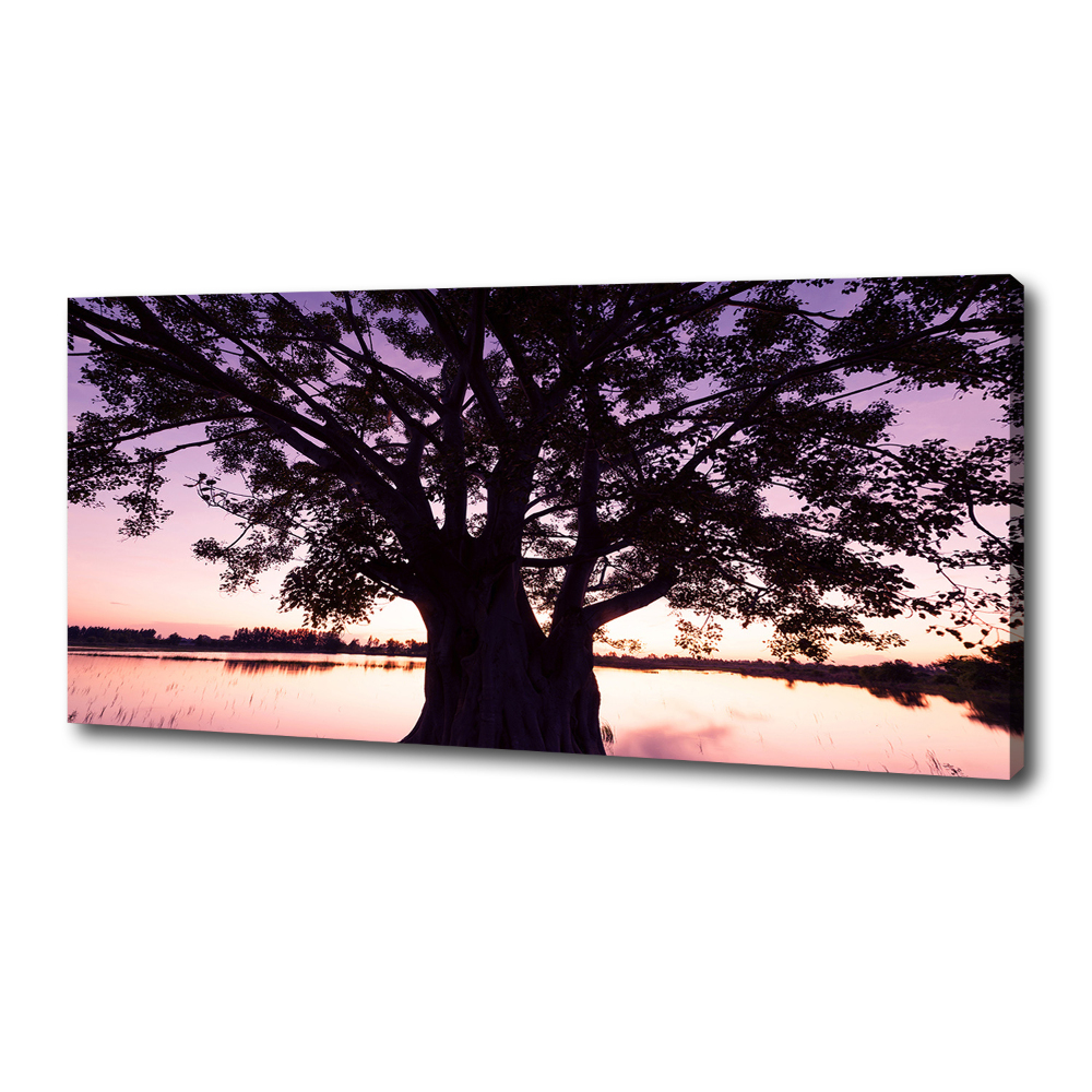 Tableau mural sur toile Arbre et lac