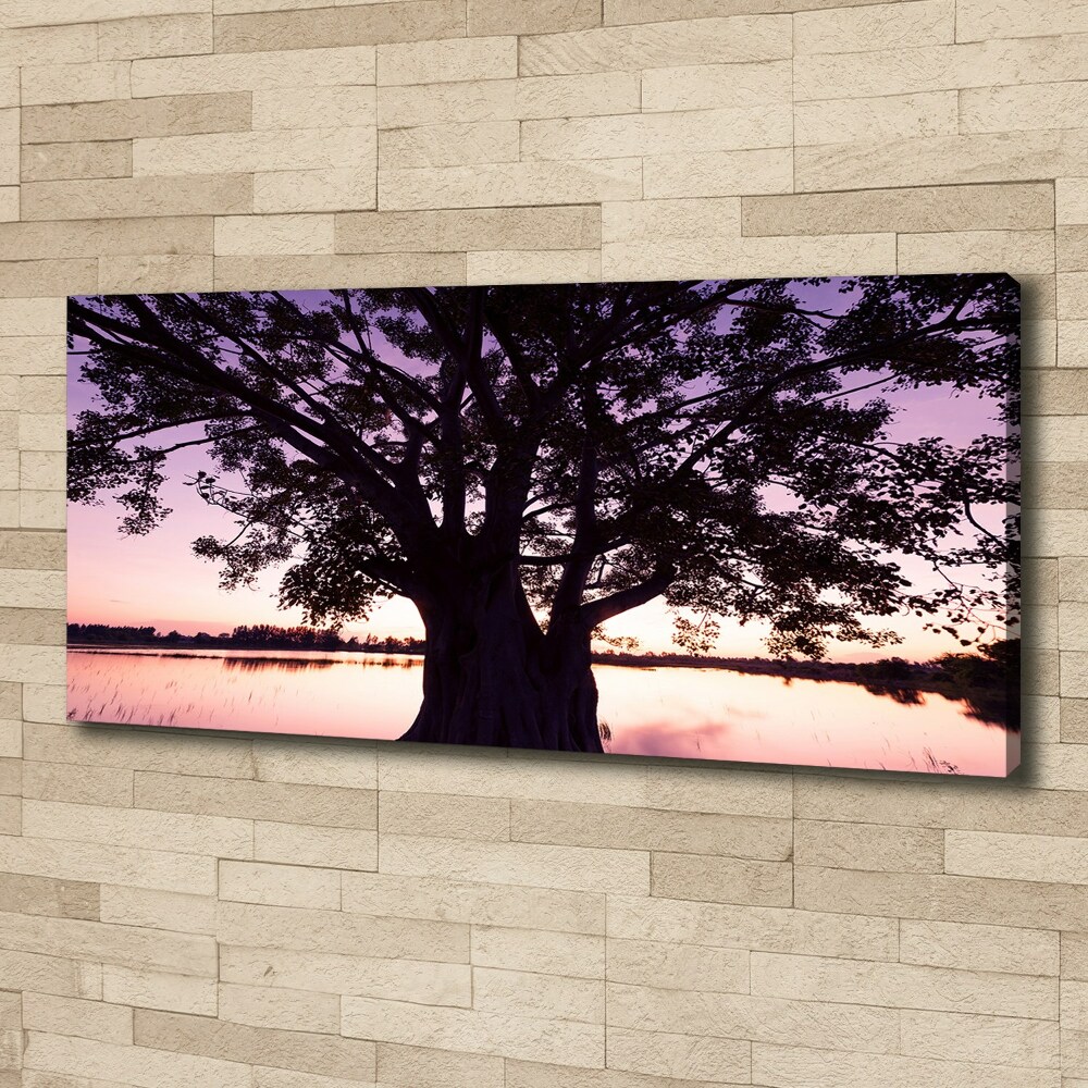 Tableau mural sur toile Arbre et lac