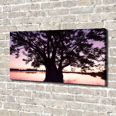 Tableau mural sur toile Arbre et lac