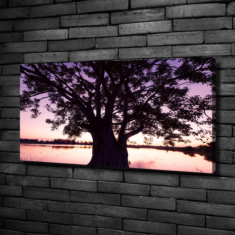 Tableau mural sur toile Arbre et lac