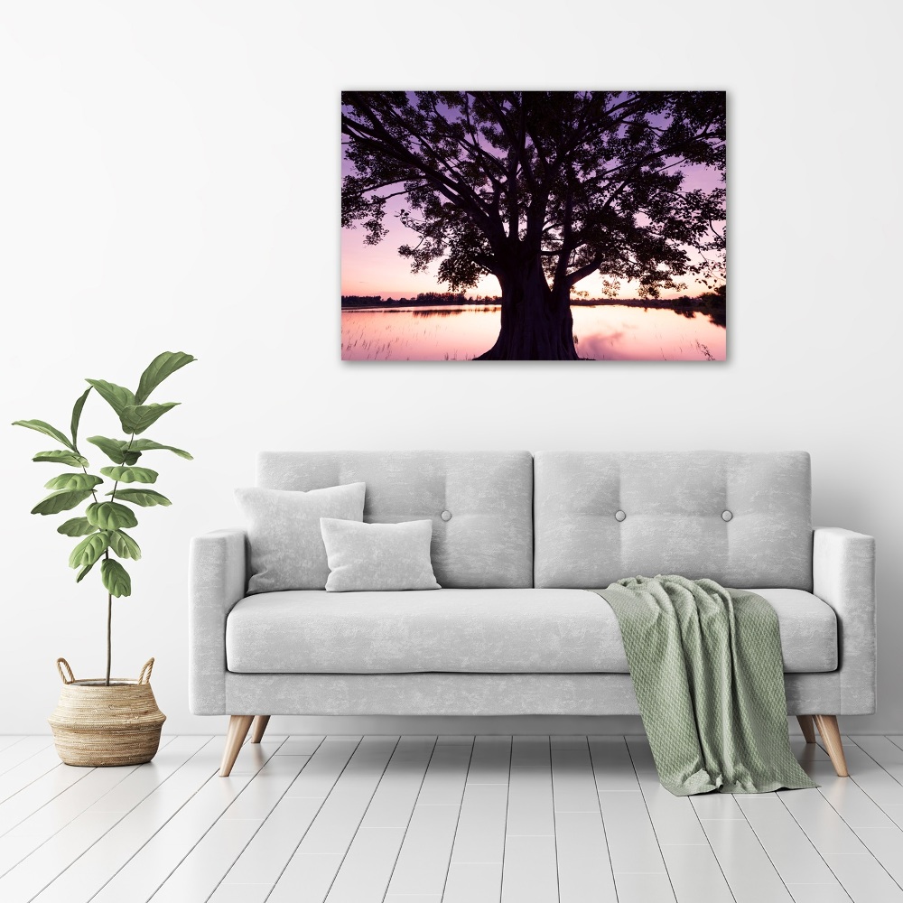 Tableau mural sur toile Arbre et lac