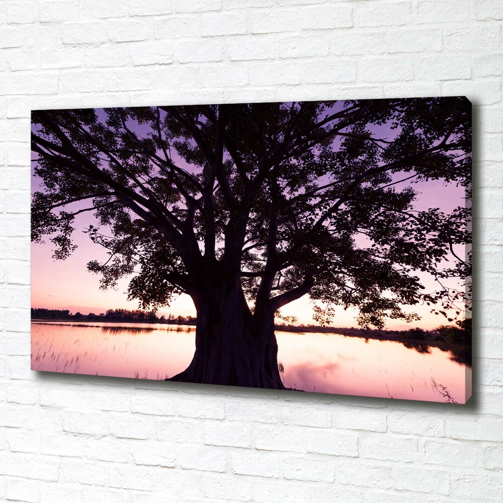 Tableau mural sur toile Arbre et lac