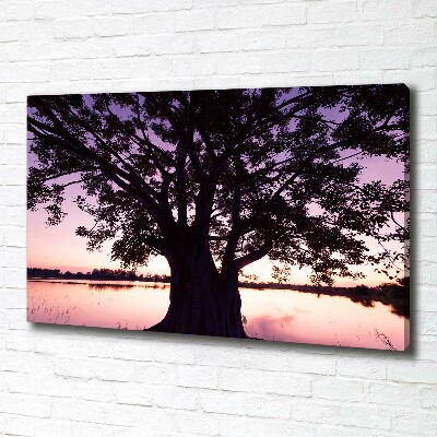 Tableau mural sur toile Arbre et lac