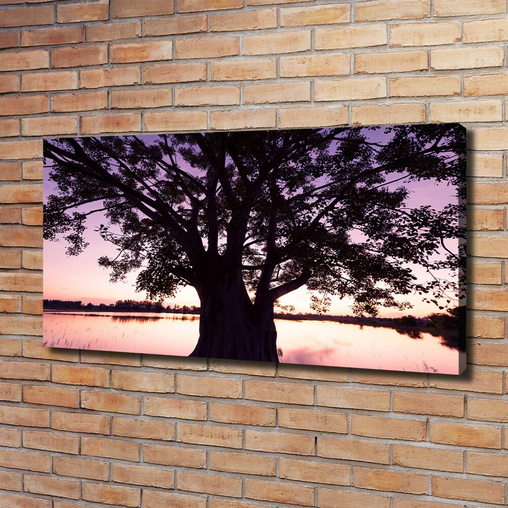 Tableau mural sur toile Arbre et lac