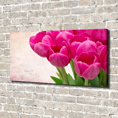 Tableau imprimé sur toile Tulipes roses