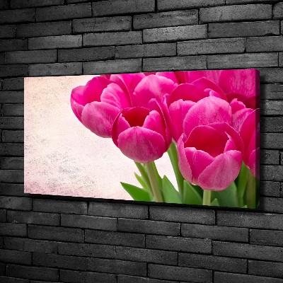 Tableau imprimé sur toile Tulipes roses