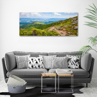 Tableau mural sur toile Collines vertes