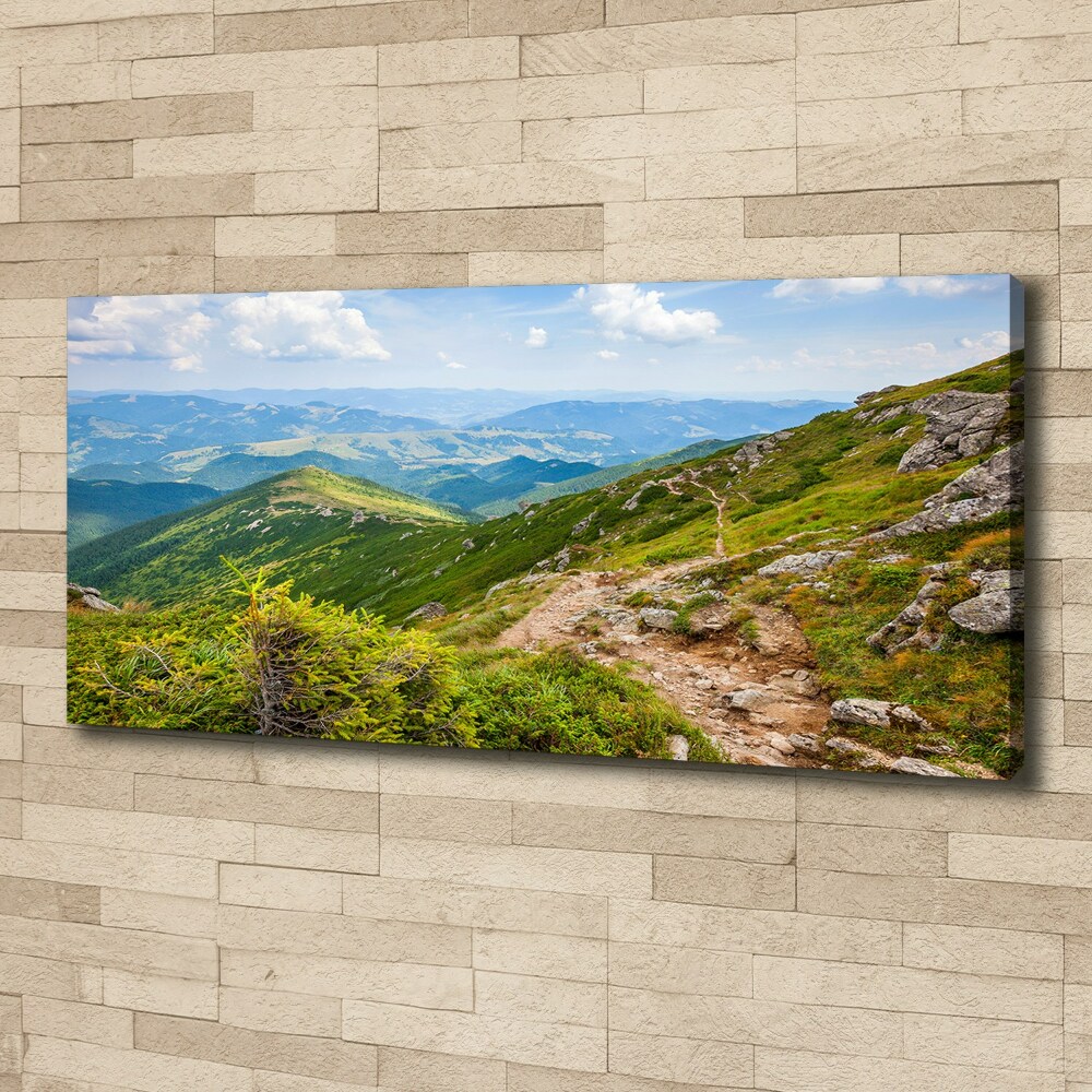 Tableau mural sur toile Collines vertes