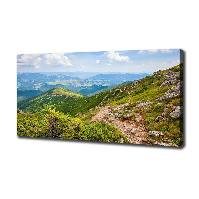 Tableau mural sur toile Collines vertes