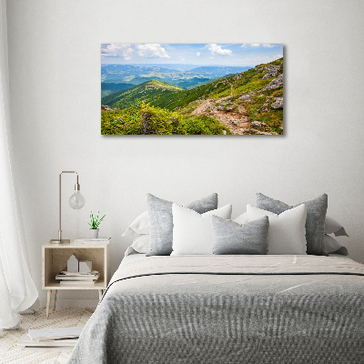 Tableau mural sur toile Collines vertes