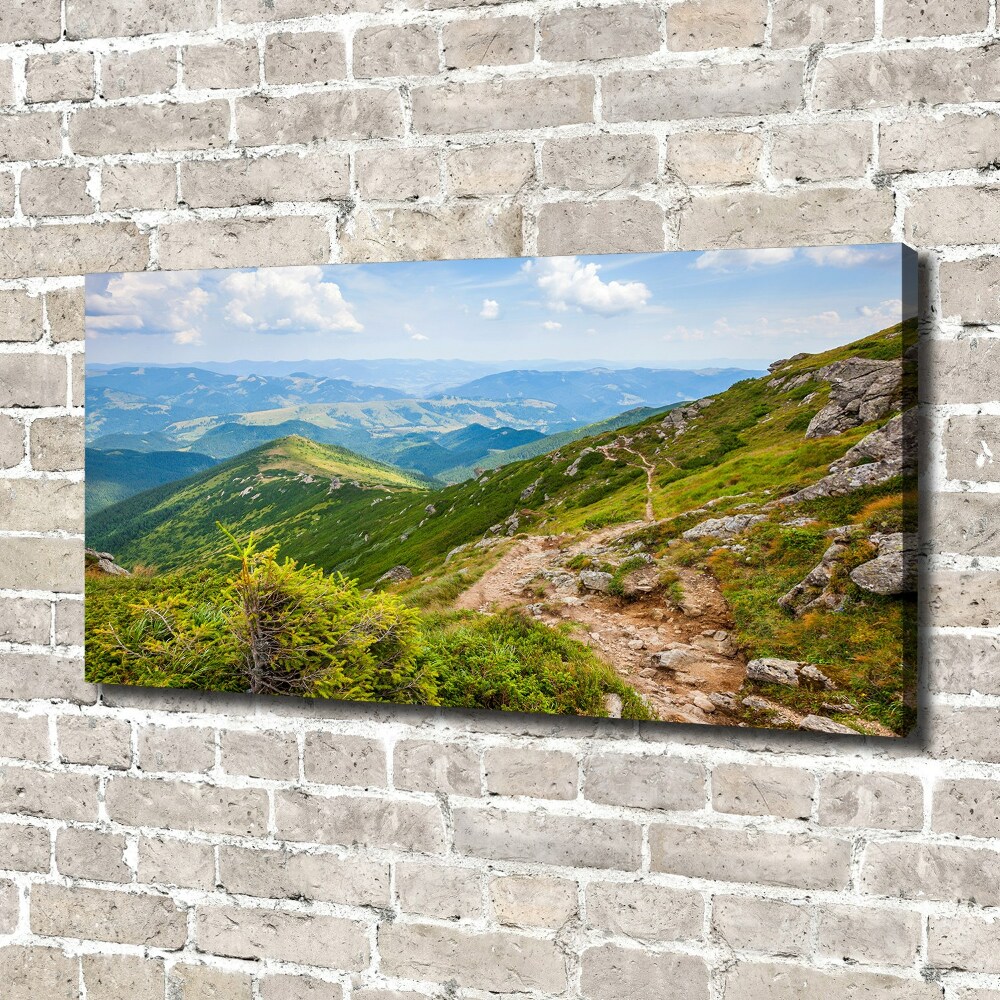 Tableau mural sur toile Collines vertes